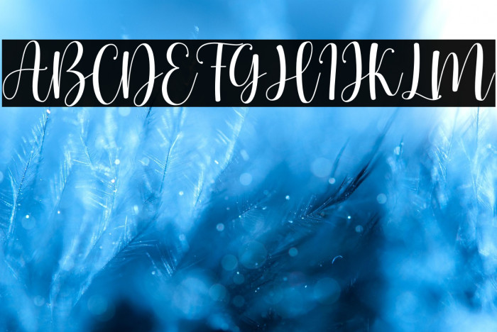 hello honey - Personal Use Example 2