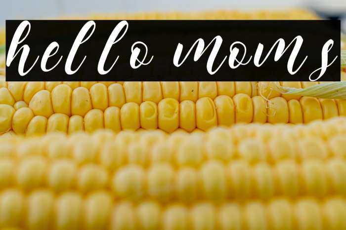 hello moms Example 2