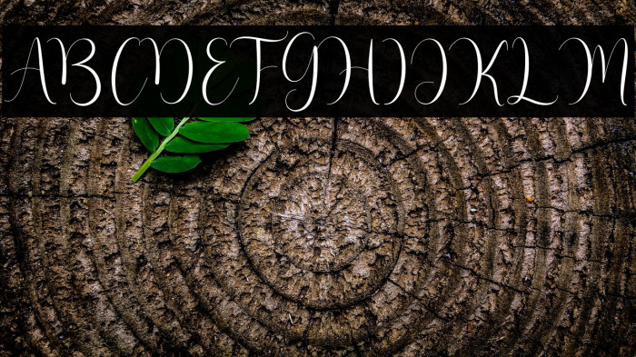 hello mother Example 1