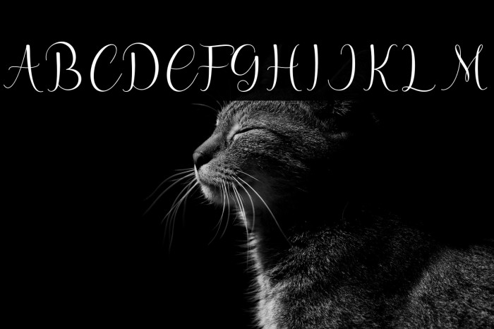 hello olive Example 1