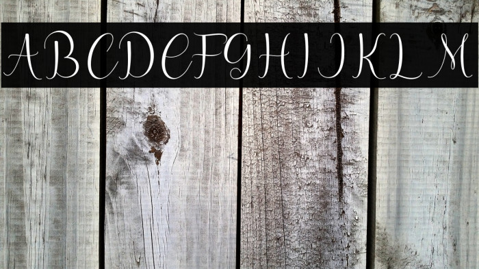 hello olive Example 2