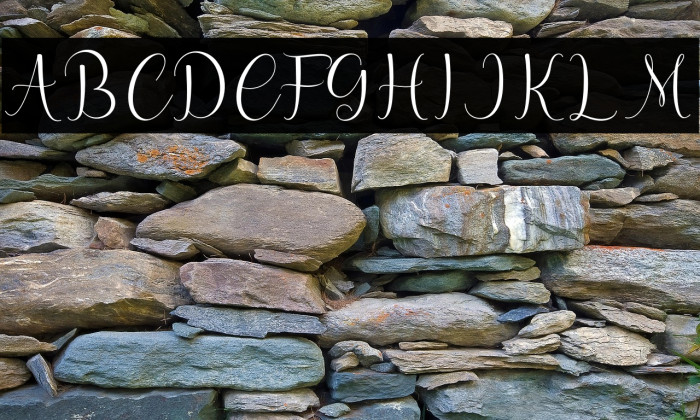 hello olive Example 3