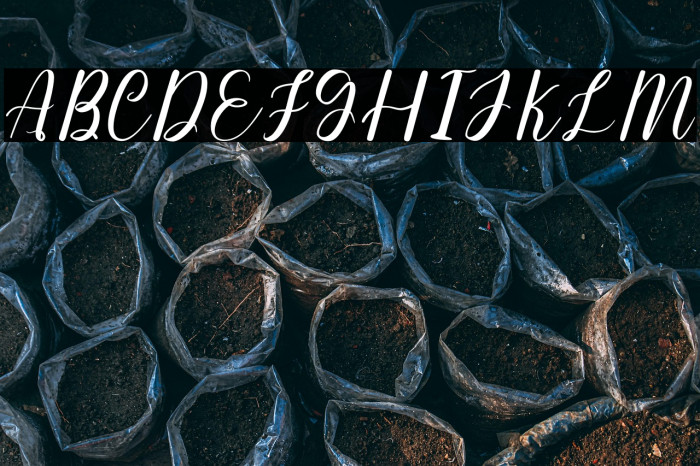 hello sweetheart Example 1