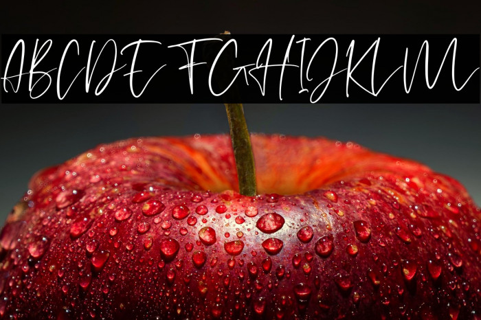 helloJellita Example 2