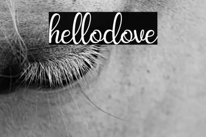 hellodove Font examples
