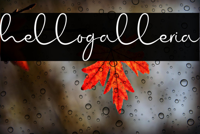 hellogalleria Example 2