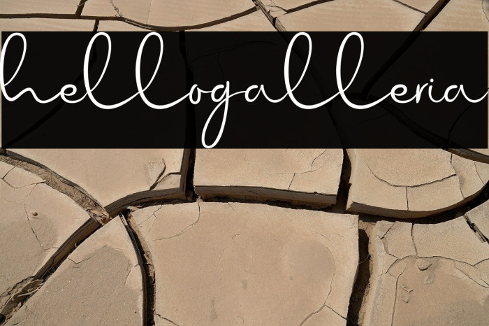 hellogalleria Example 3