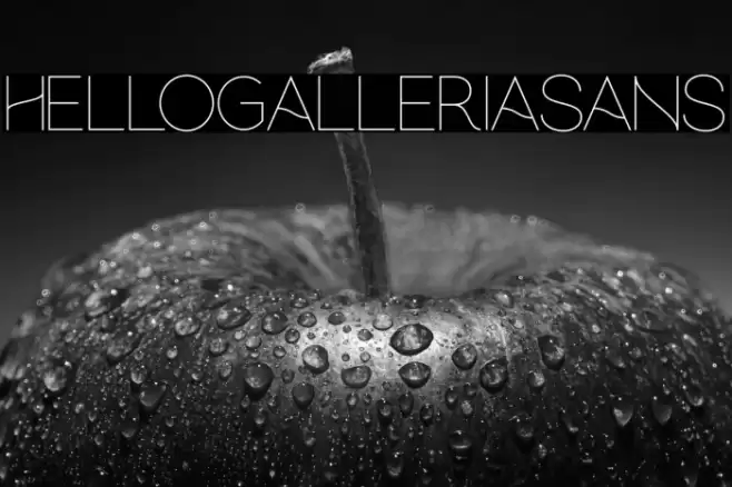 hellogalleriasans Font examples