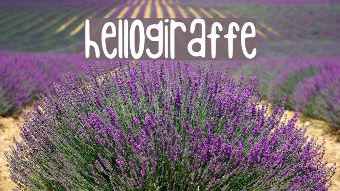 hellogiraffe Font examples