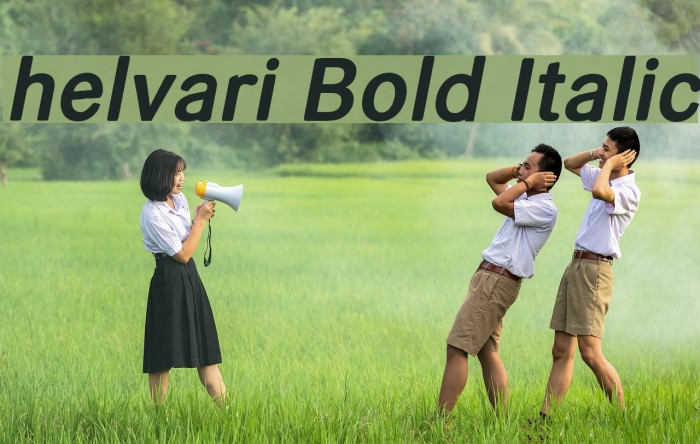 helvari Bold Italic Font examples