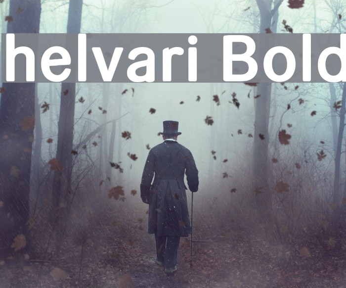 helvari Bold Font examples