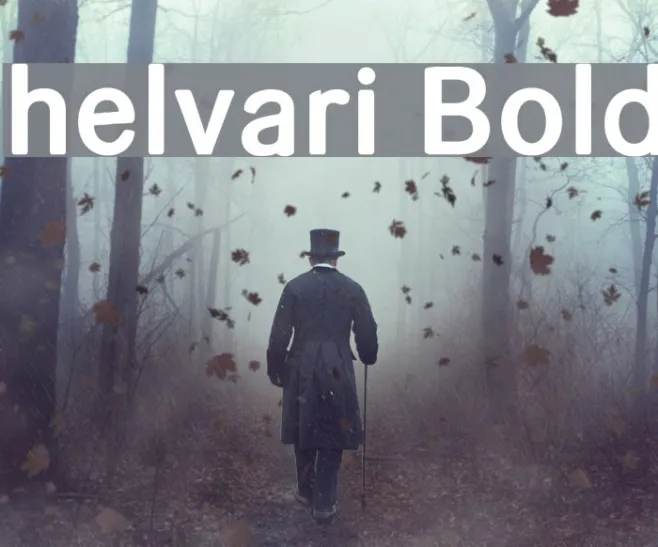 helvari Bold Example 2