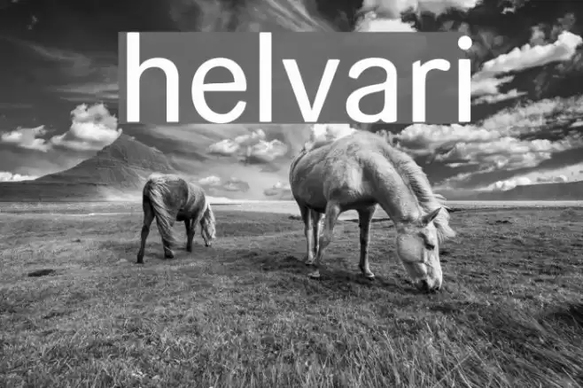 helvari Font examples
