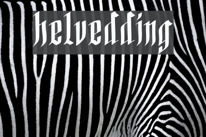 helvedding Font examples