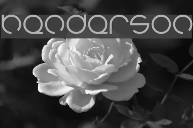 henderson Font examples