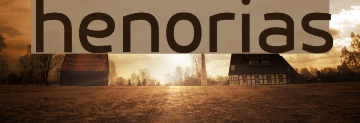henorias Font examples