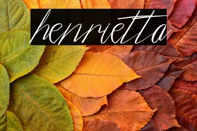 henrietta Example 2
