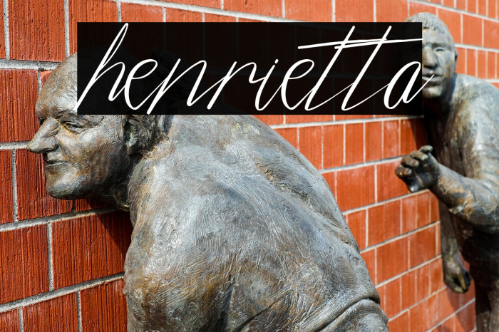 henrietta Example 3
