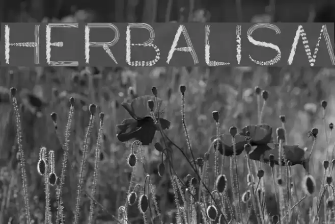 herbalism Font examples