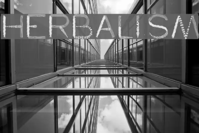 herbalism Font examples