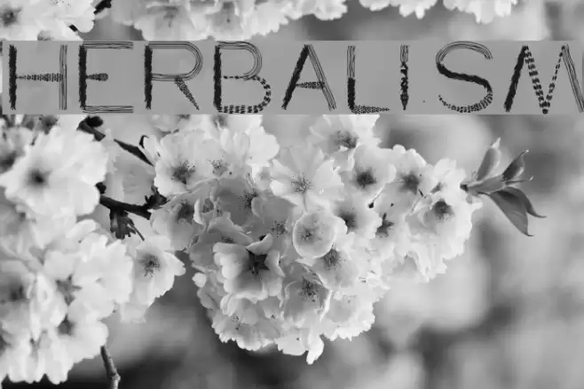 herbalism Font examples