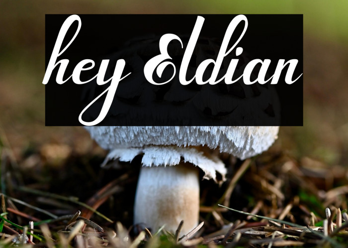 hey Eldian Example 1