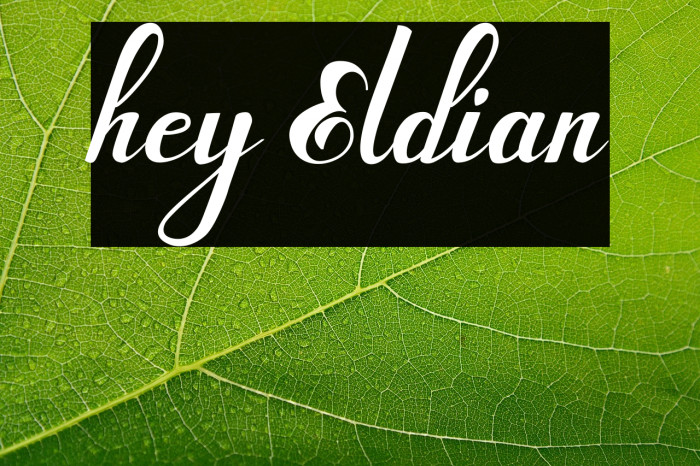 hey Eldian Example 3