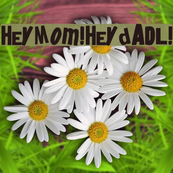 heyMom!heyDadl! Example 2