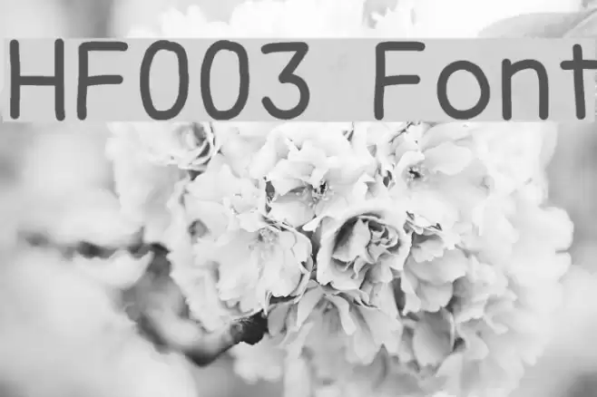 HF003 Font examples