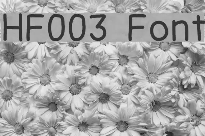 HF003 Font examples