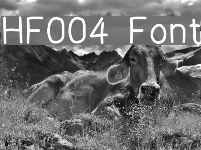 HF004 Font examples