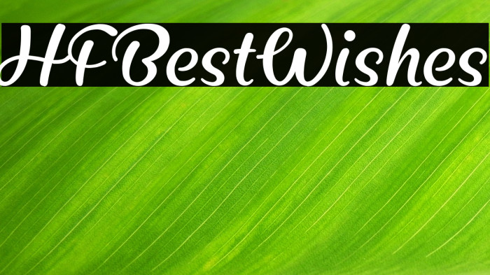 HFBestWishes Example 1