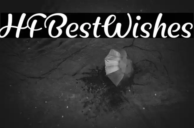 HFBestWishes Fonte examples
