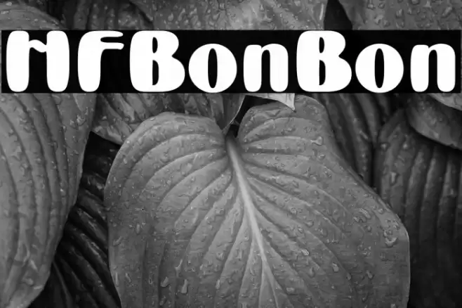 HFBonBon Font examples