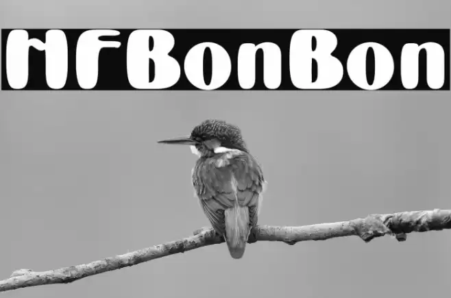 HFBonBon Font examples
