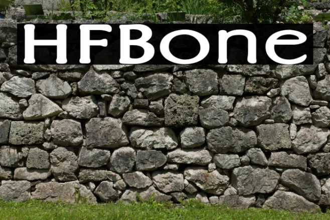 HFBone Example 1