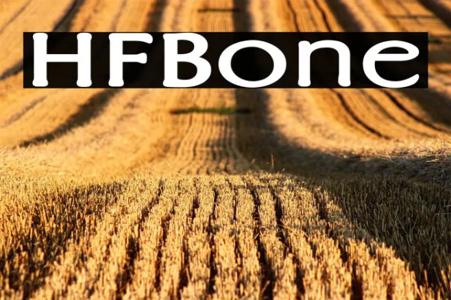 HFBone Example 2