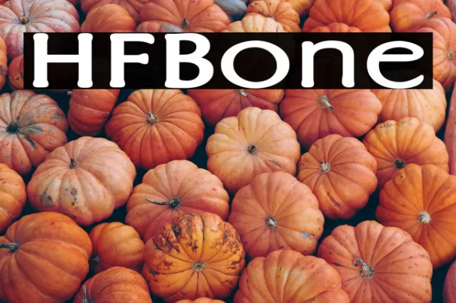 HFBone Example 3