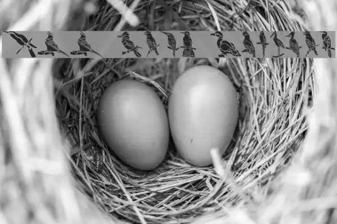 HFF Bird Stencil Font examples