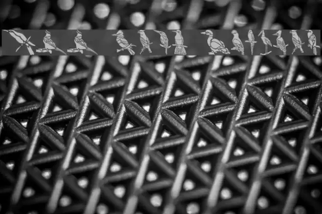 HFF Bird Stencil Font examples