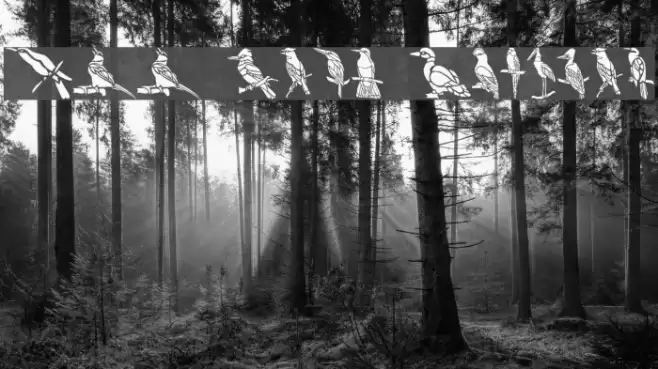 HFF Bird Stencil Font examples