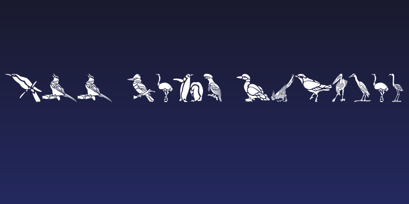 HFF Bird Stencil Social Header