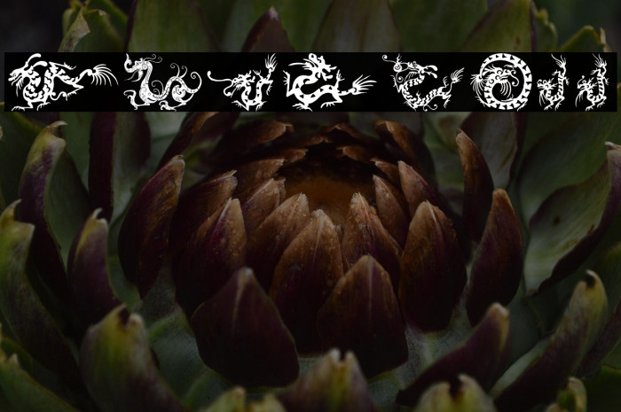 HFF Chinese Dragon Example 3