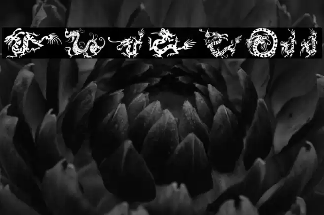 HFF Chinese Dragon Font examples