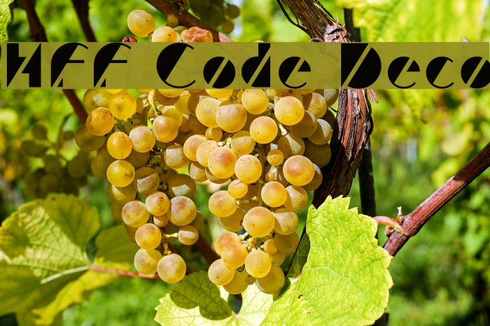 HFF Code Deco Example 3