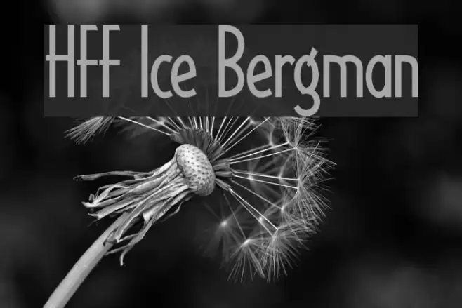 HFF Ice Bergman Шрифта examples