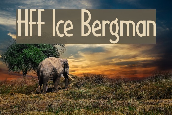 HFF Ice Bergman Font examples