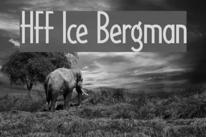 HFF Ice Bergman Шрифта examples