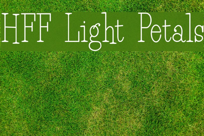 HFF Light Petals Font examples