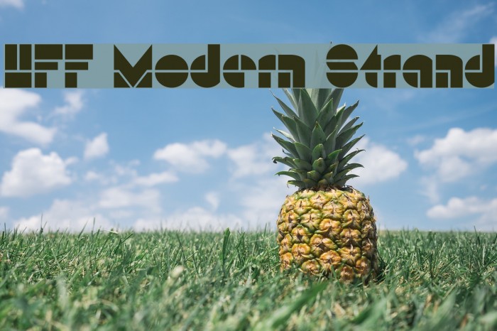HFF Modern Strand لخطوط تنزيل examples